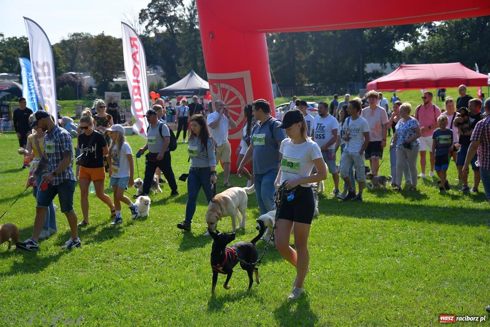 Zdjęcie w galerii na portalu naszraciborz.pl: Dogtrekking - charytatywny marsz z czworonogami [FOTO i WIDEO] wiadomości z regionu