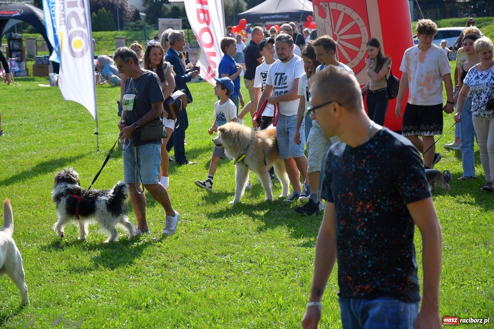 Zdjęcie w galerii na portalu naszraciborz.pl: Dogtrekking - charytatywny marsz z czworonogami [FOTO i WIDEO] wiadomości z regionu