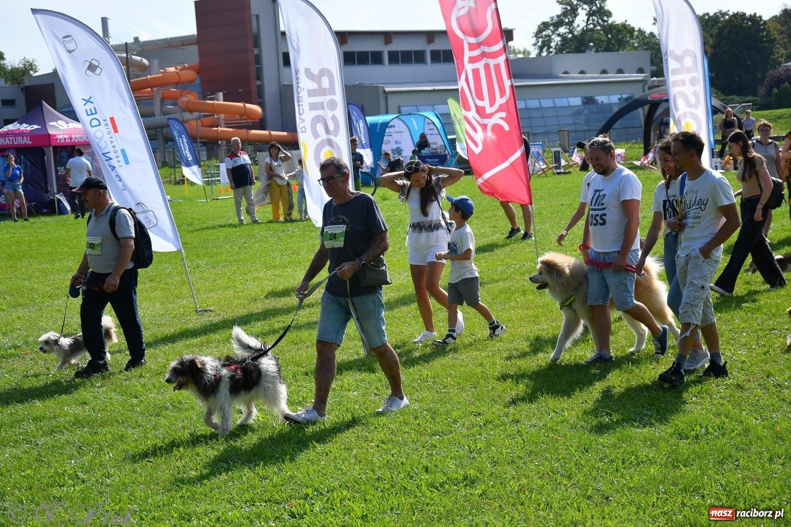 Zdjęcie w galerii na portalu naszraciborz.pl: Dogtrekking - charytatywny marsz z czworonogami [FOTO i WIDEO] wiadomości z regionu
