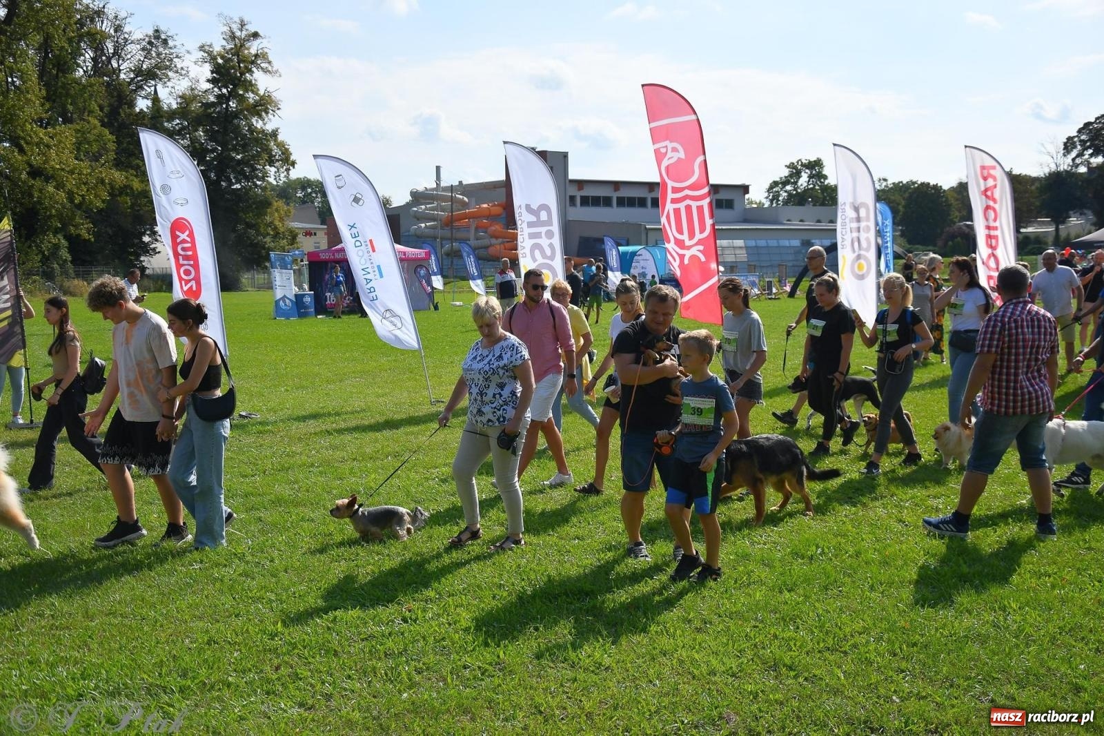 Zdjęcie w galerii na portalu naszraciborz.pl: Dogtrekking - charytatywny marsz z czworonogami [FOTO i WIDEO] wiadomości z regionu