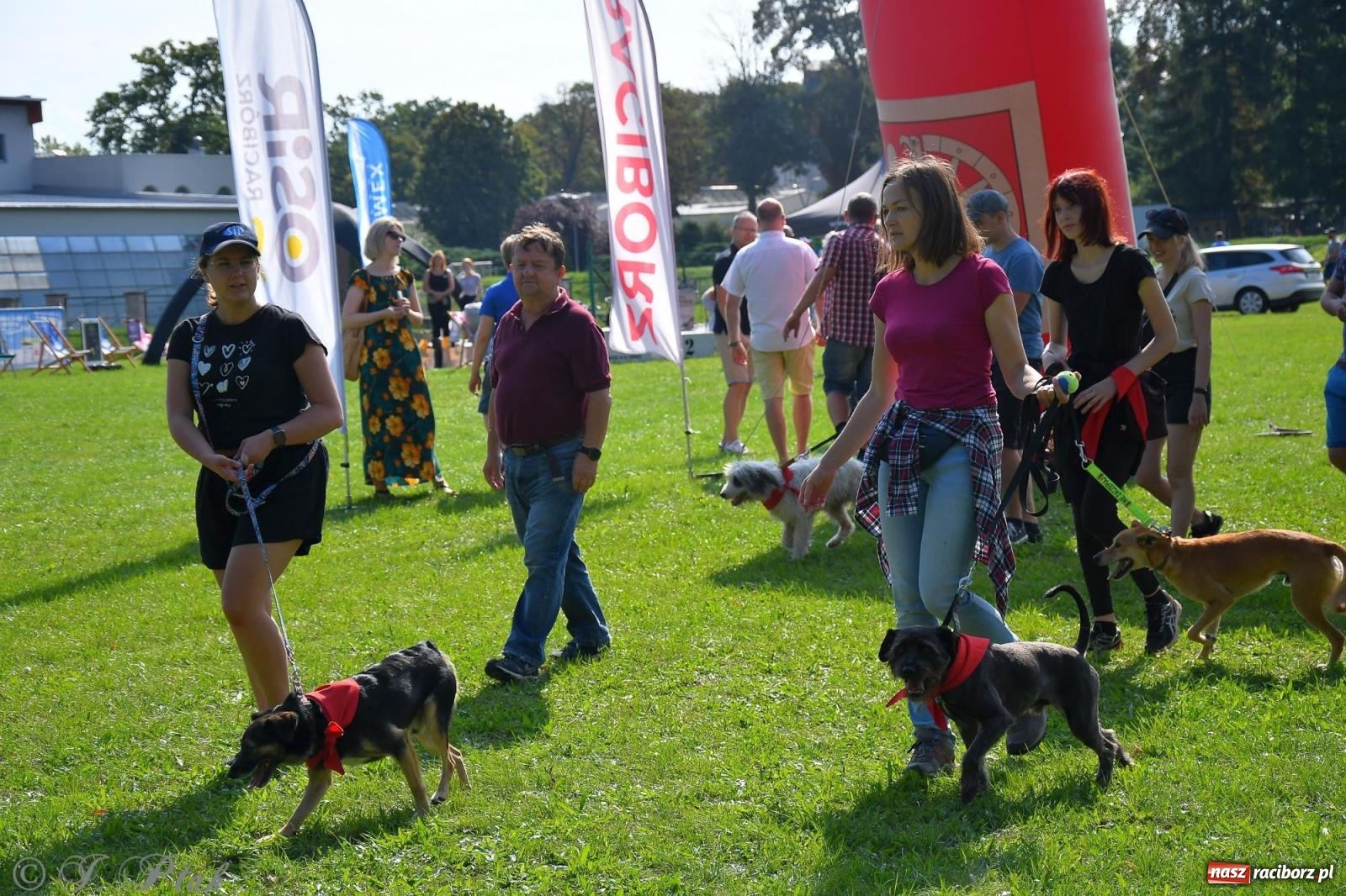 Zdjęcie w galerii na portalu naszraciborz.pl: Dogtrekking - charytatywny marsz z czworonogami [FOTO i WIDEO] wiadomości z regionu