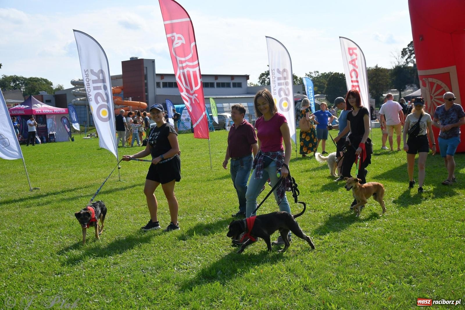 Zdjęcie w galerii na portalu naszraciborz.pl: Dogtrekking - charytatywny marsz z czworonogami [FOTO i WIDEO] wiadomości z regionu