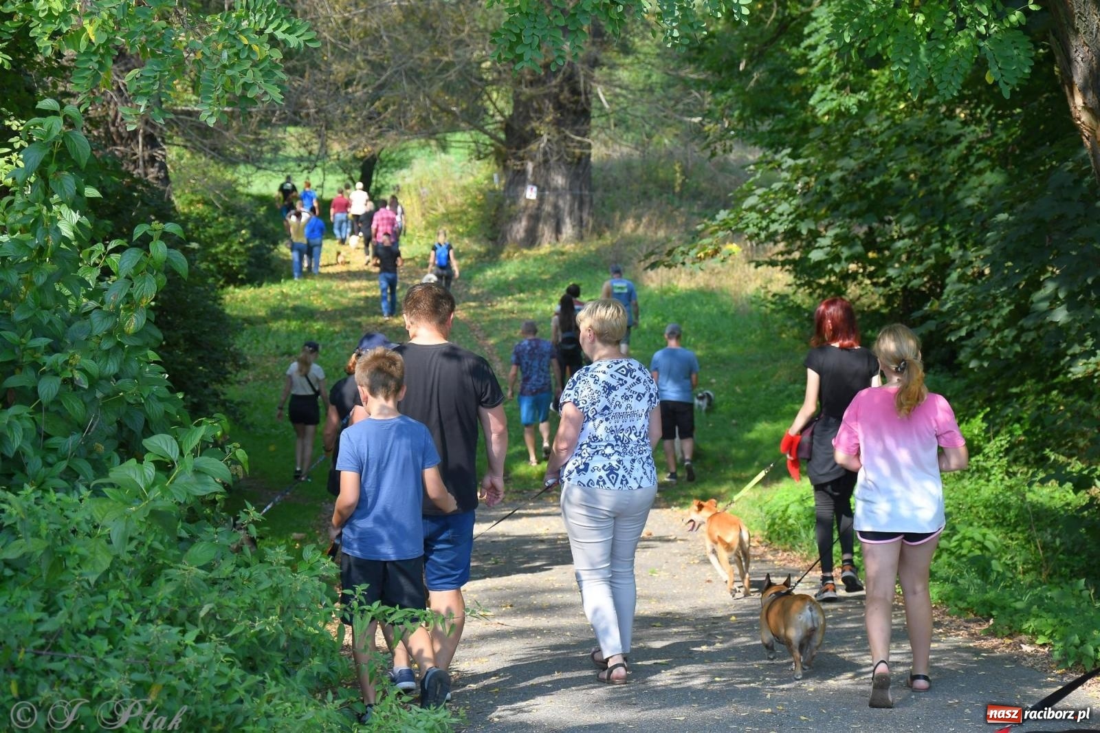 Zdjęcie w galerii na portalu naszraciborz.pl: Dogtrekking - charytatywny marsz z czworonogami [FOTO i WIDEO] wiadomości z regionu