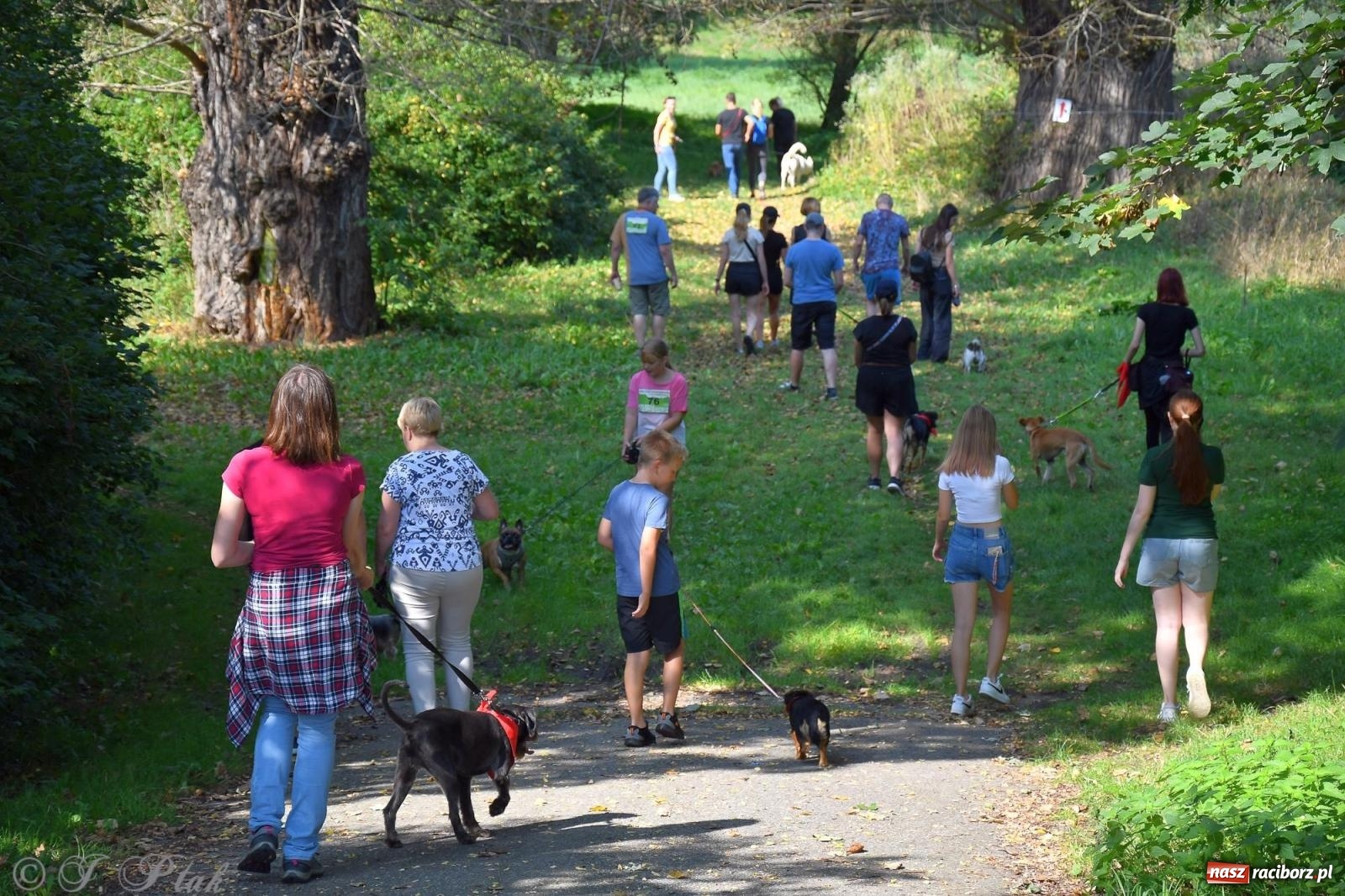 Zdjęcie w galerii na portalu naszraciborz.pl: Dogtrekking - charytatywny marsz z czworonogami [FOTO i WIDEO] wiadomości z regionu