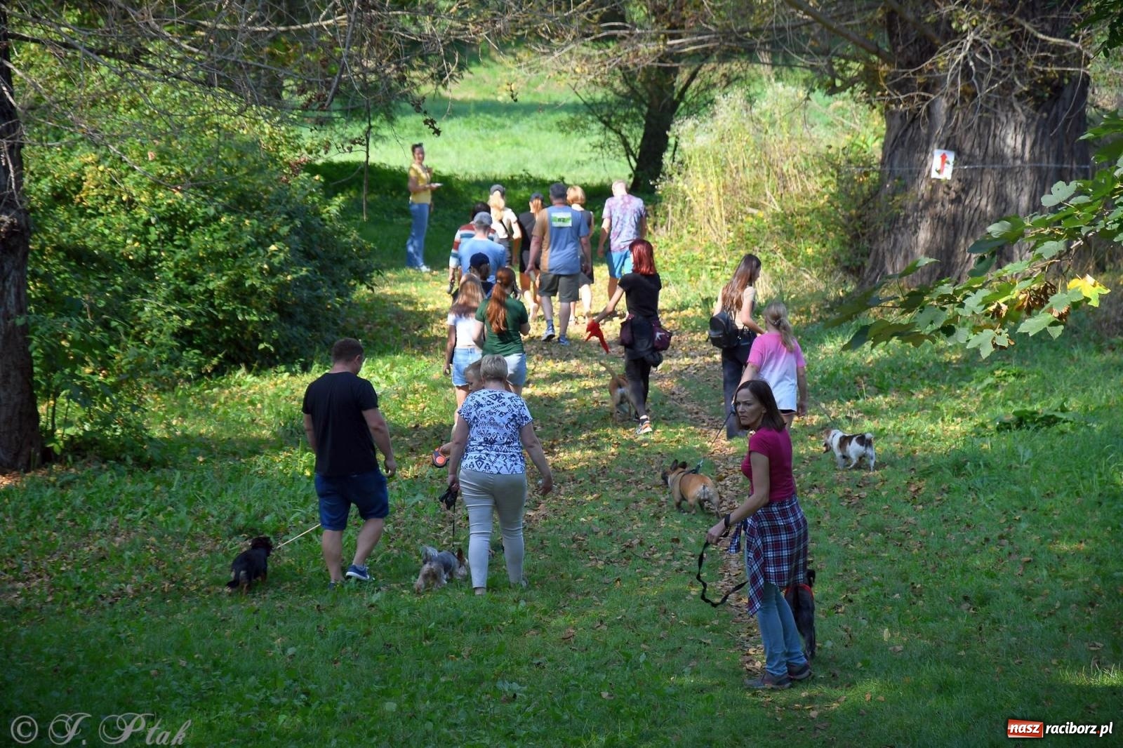 Zdjęcie w galerii na portalu naszraciborz.pl: Dogtrekking - charytatywny marsz z czworonogami [FOTO i WIDEO] wiadomości z regionu