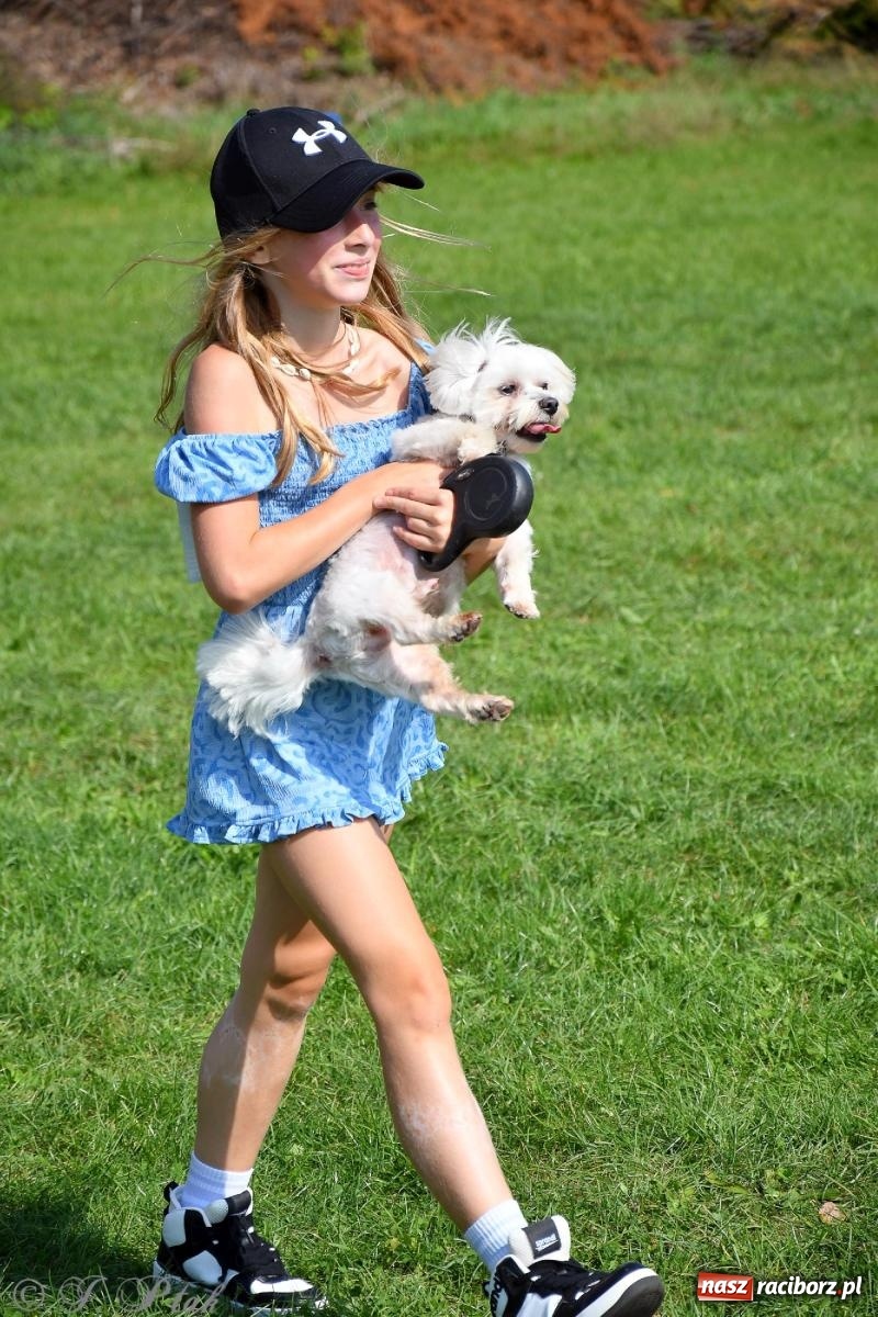 Zdjęcie w galerii na portalu naszraciborz.pl: Dogtrekking - charytatywny marsz z czworonogami [FOTO i WIDEO] wiadomości z regionu
