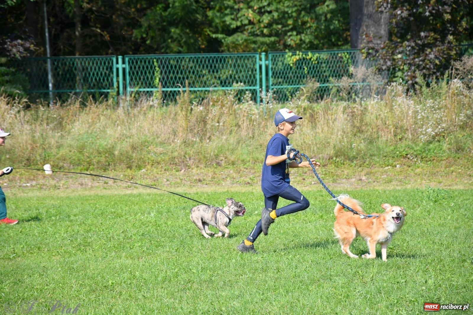 Zdjęcie w galerii na portalu naszraciborz.pl: Dogtrekking - charytatywny marsz z czworonogami [FOTO i WIDEO] wiadomości z regionu