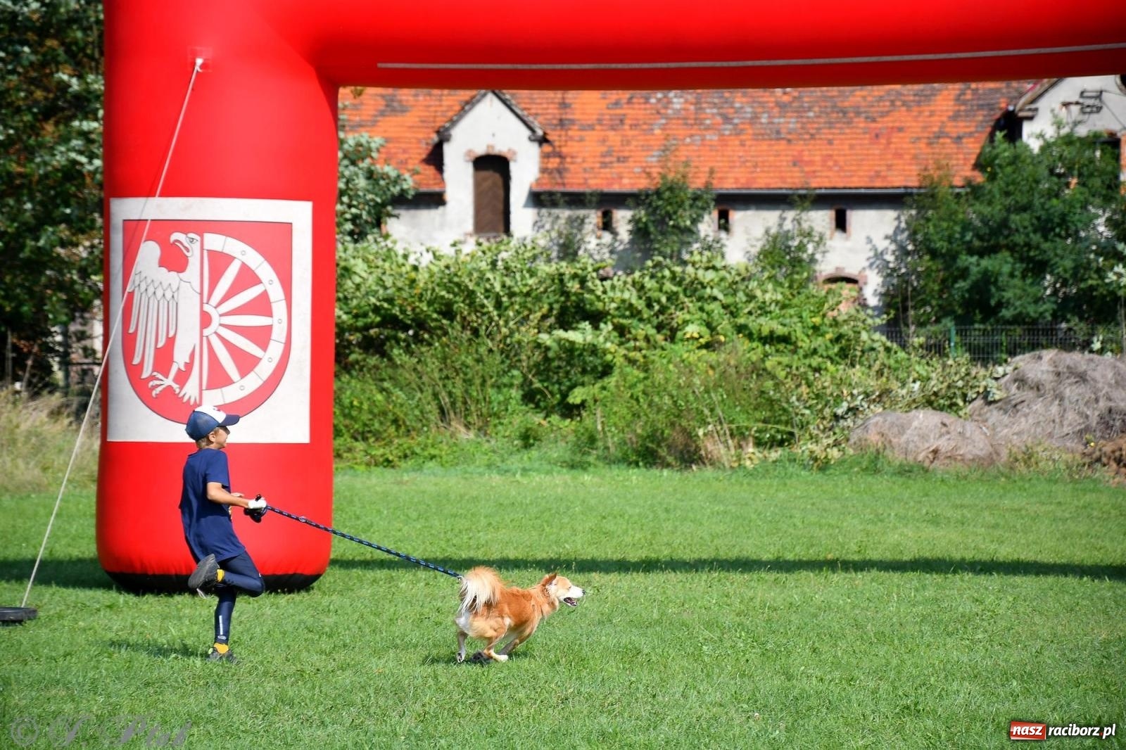 Zdjęcie w galerii na portalu naszraciborz.pl: Dogtrekking - charytatywny marsz z czworonogami [FOTO i WIDEO] wiadomości z regionu