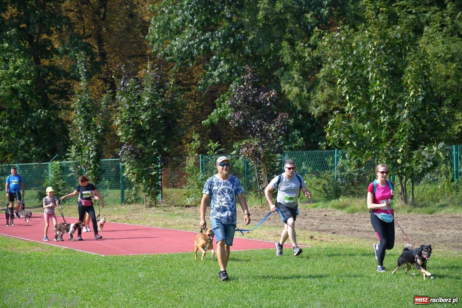 Zdjęcie w galerii na portalu naszraciborz.pl: Dogtrekking - charytatywny marsz z czworonogami [FOTO i WIDEO] wiadomości z regionu