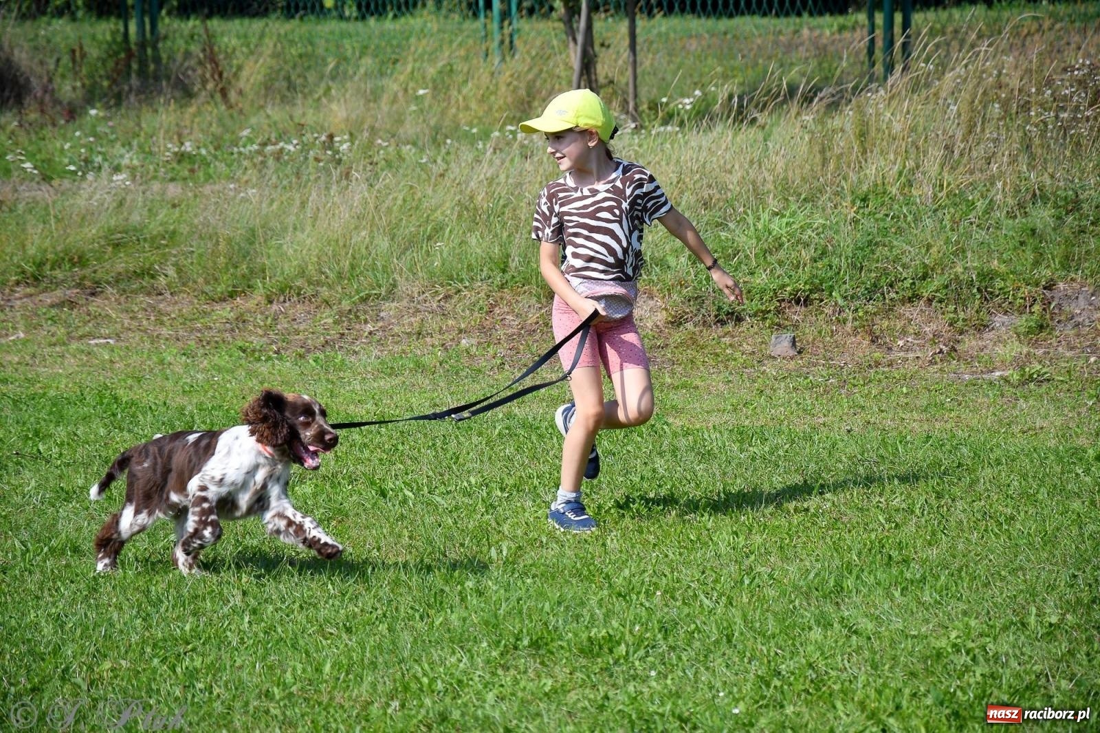 Zdjęcie w galerii na portalu naszraciborz.pl: Dogtrekking - charytatywny marsz z czworonogami [FOTO i WIDEO] wiadomości z regionu