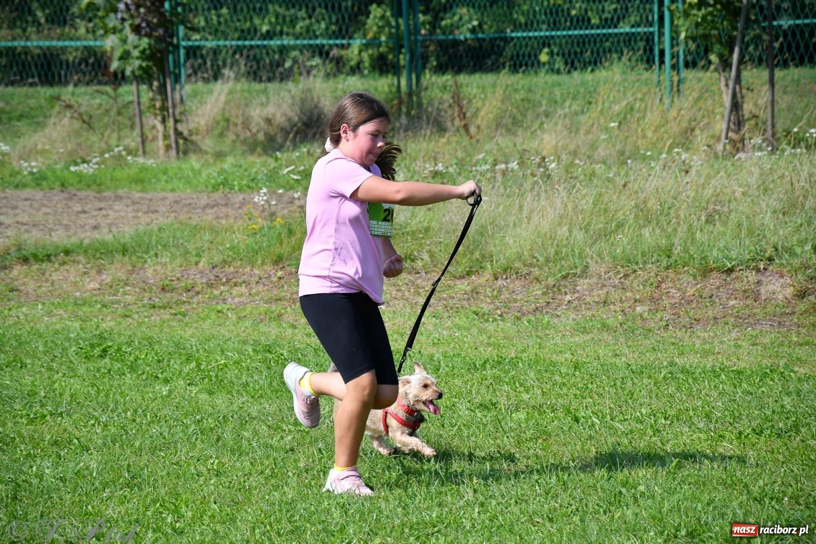 Zdjęcie w galerii na portalu naszraciborz.pl: Dogtrekking - charytatywny marsz z czworonogami [FOTO i WIDEO] wiadomości z regionu