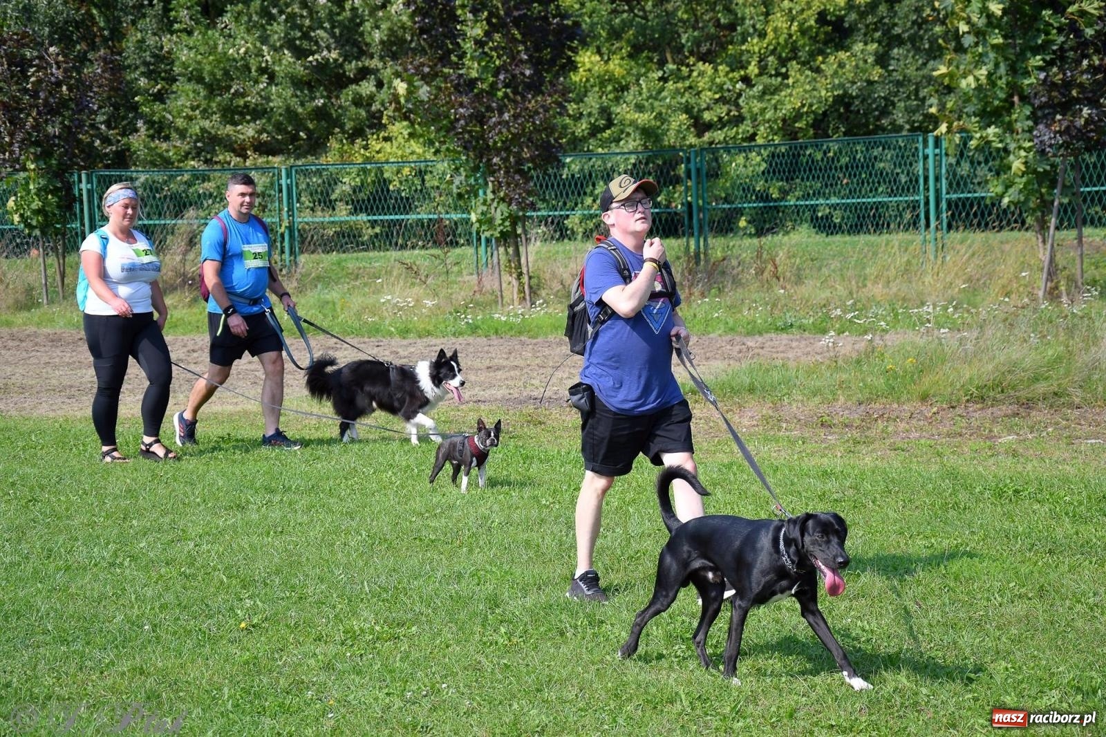 Zdjęcie w galerii na portalu naszraciborz.pl: Dogtrekking - charytatywny marsz z czworonogami [FOTO i WIDEO] wiadomości z regionu