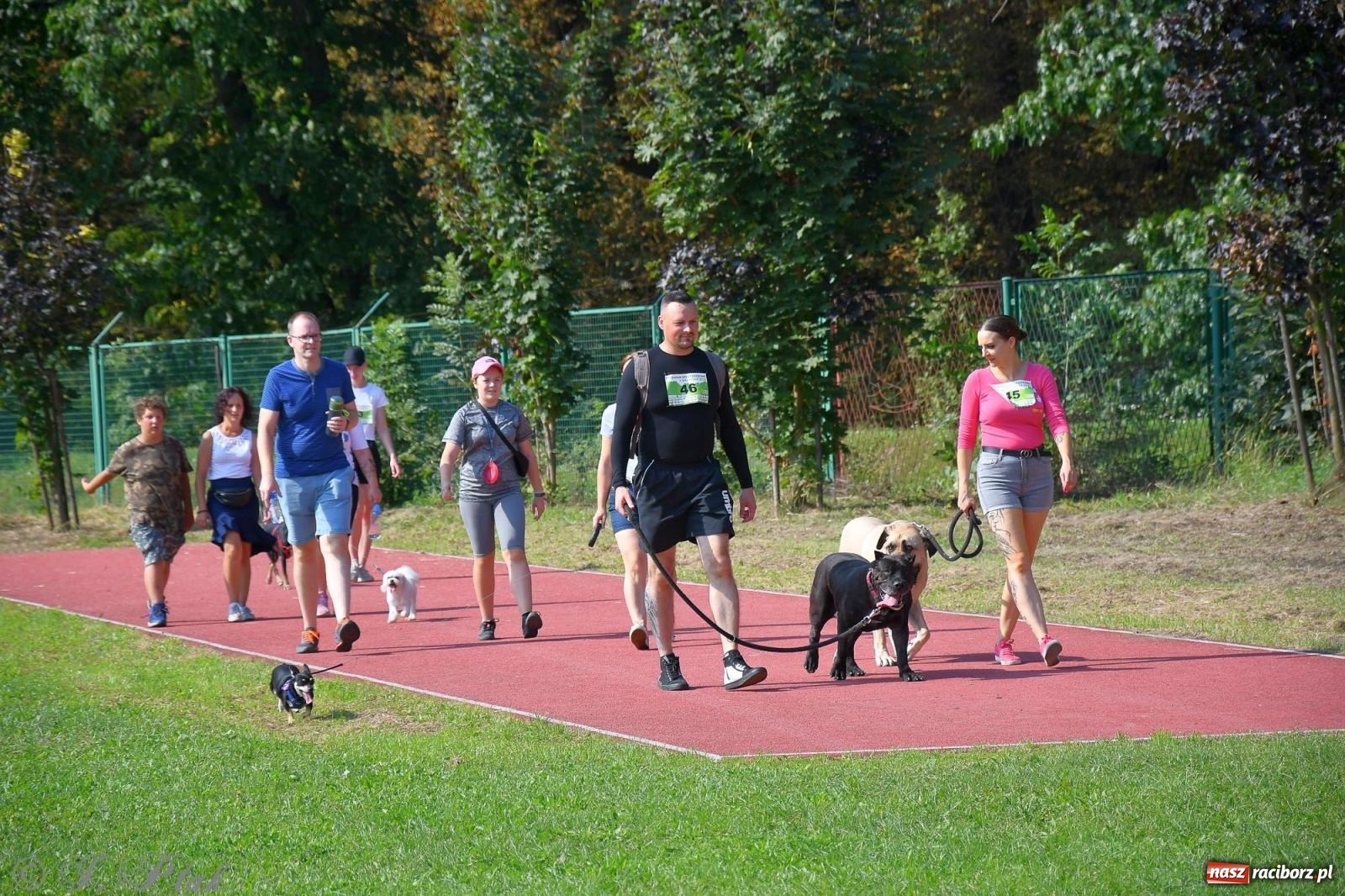Zdjęcie w galerii na portalu naszraciborz.pl: Dogtrekking - charytatywny marsz z czworonogami [FOTO i WIDEO] wiadomości z regionu