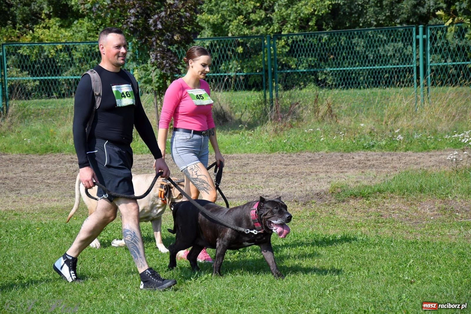 Zdjęcie w galerii na portalu naszraciborz.pl: Dogtrekking - charytatywny marsz z czworonogami [FOTO i WIDEO] wiadomości z regionu