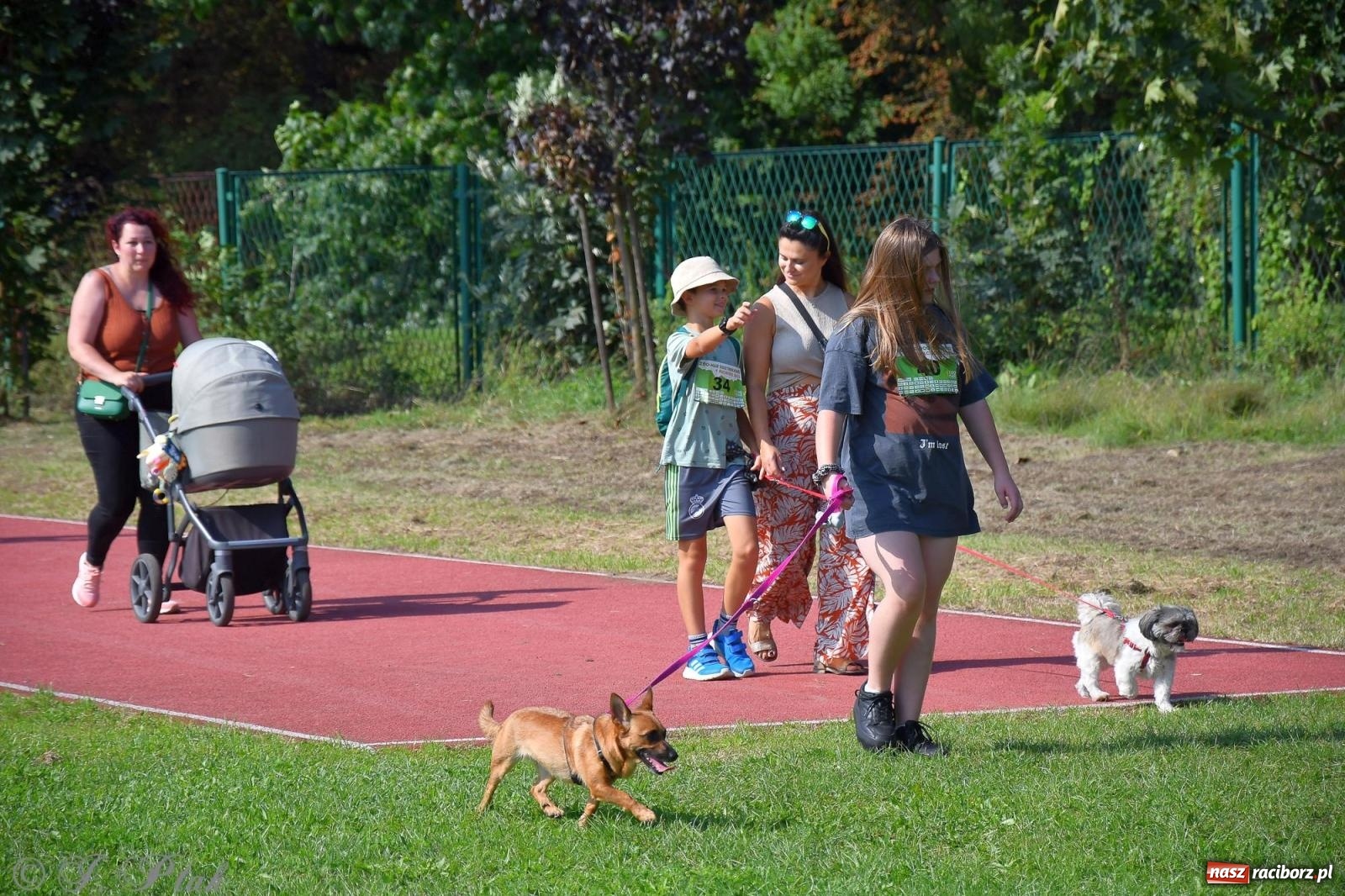 Zdjęcie w galerii na portalu naszraciborz.pl: Dogtrekking - charytatywny marsz z czworonogami [FOTO i WIDEO] wiadomości z regionu