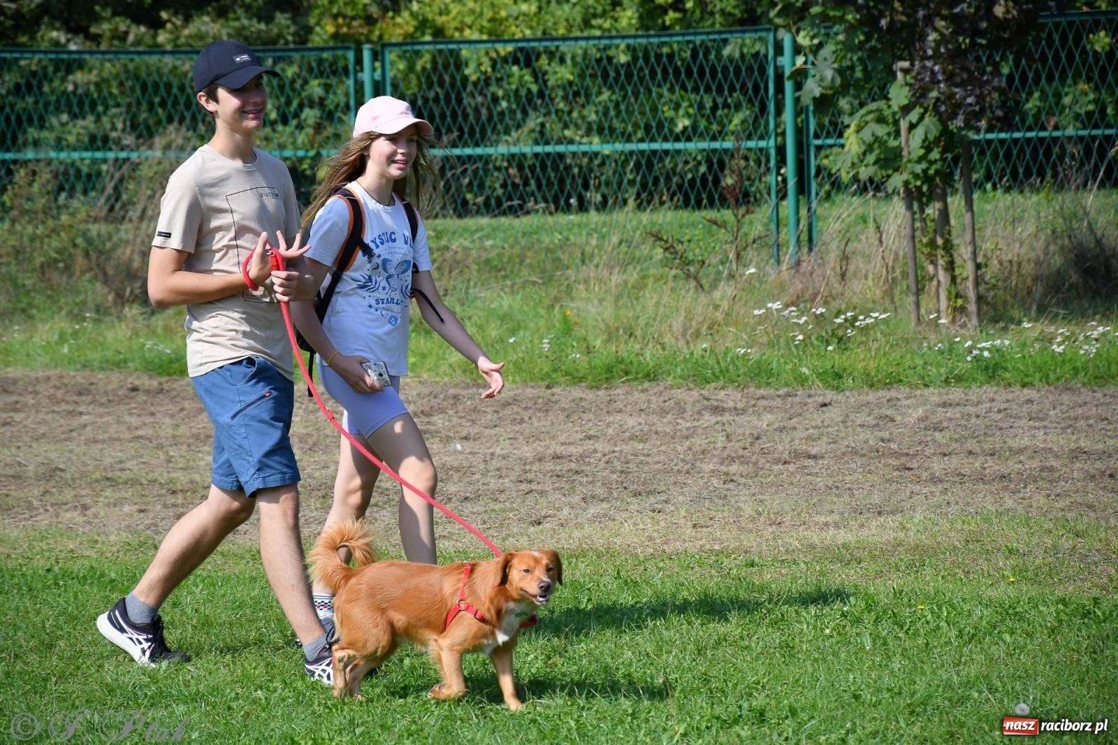 Zdjęcie w galerii na portalu naszraciborz.pl: Dogtrekking - charytatywny marsz z czworonogami [FOTO i WIDEO] wiadomości z regionu