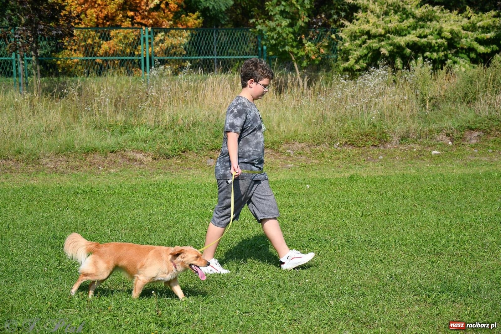 Zdjęcie w galerii na portalu naszraciborz.pl: Dogtrekking - charytatywny marsz z czworonogami [FOTO i WIDEO] wiadomości z regionu