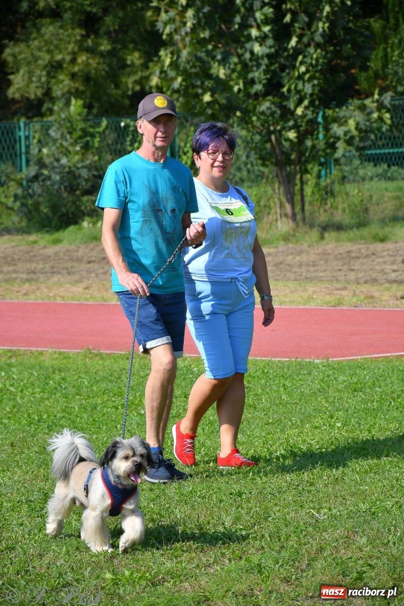 Zdjęcie w galerii na portalu naszraciborz.pl: Dogtrekking - charytatywny marsz z czworonogami [FOTO i WIDEO] wiadomości z regionu