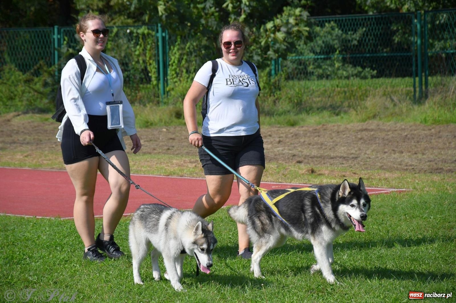 Zdjęcie w galerii na portalu naszraciborz.pl: Dogtrekking - charytatywny marsz z czworonogami [FOTO i WIDEO] wiadomości z regionu