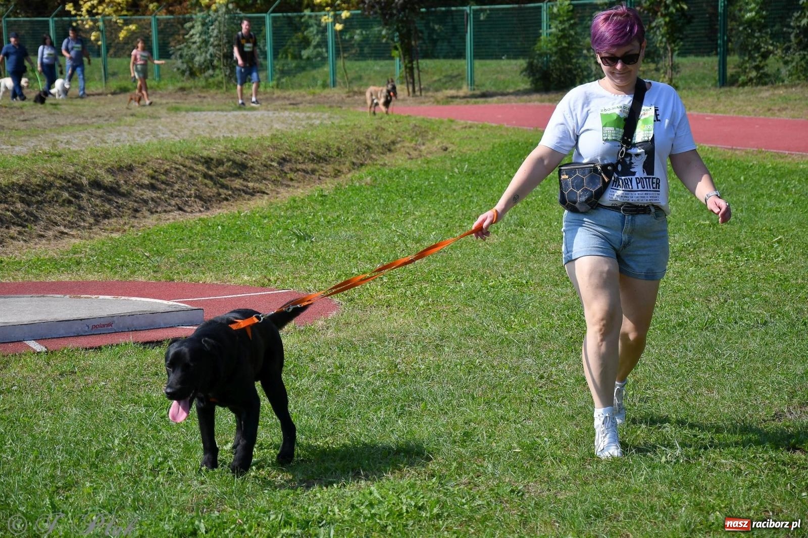 Zdjęcie w galerii na portalu naszraciborz.pl: Dogtrekking - charytatywny marsz z czworonogami [FOTO i WIDEO] wiadomości z regionu