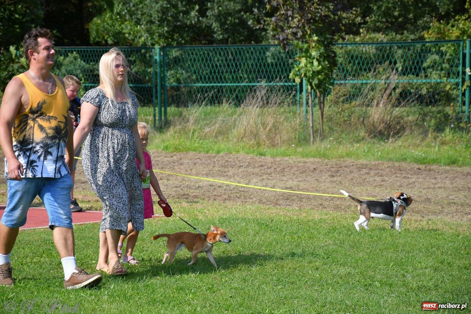 Zdjęcie w galerii na portalu naszraciborz.pl: Dogtrekking - charytatywny marsz z czworonogami [FOTO i WIDEO] wiadomości z regionu