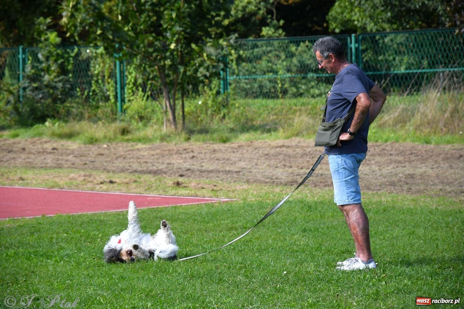 Zdjęcie w galerii na portalu naszraciborz.pl: Dogtrekking - charytatywny marsz z czworonogami [FOTO i WIDEO] wiadomości z regionu