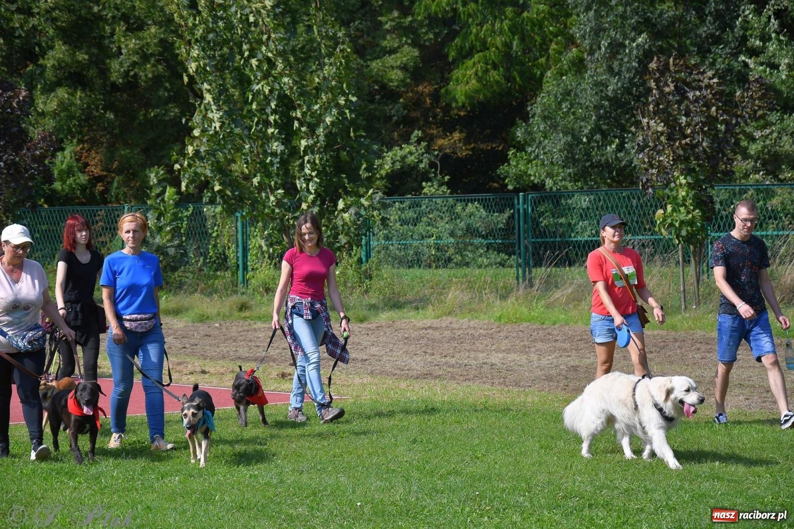 Zdjęcie w galerii na portalu naszraciborz.pl: Dogtrekking - charytatywny marsz z czworonogami [FOTO i WIDEO] wiadomości z regionu