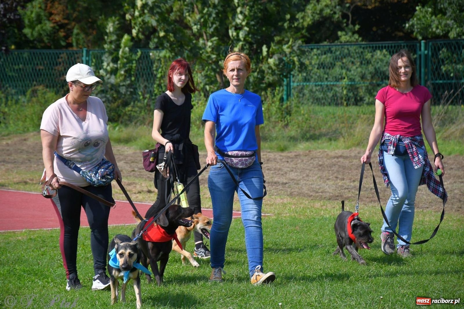 Zdjęcie w galerii na portalu naszraciborz.pl: Dogtrekking - charytatywny marsz z czworonogami [FOTO i WIDEO] wiadomości z regionu