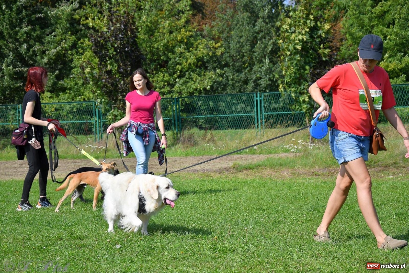 Zdjęcie w galerii na portalu naszraciborz.pl: Dogtrekking - charytatywny marsz z czworonogami [FOTO i WIDEO] wiadomości z regionu