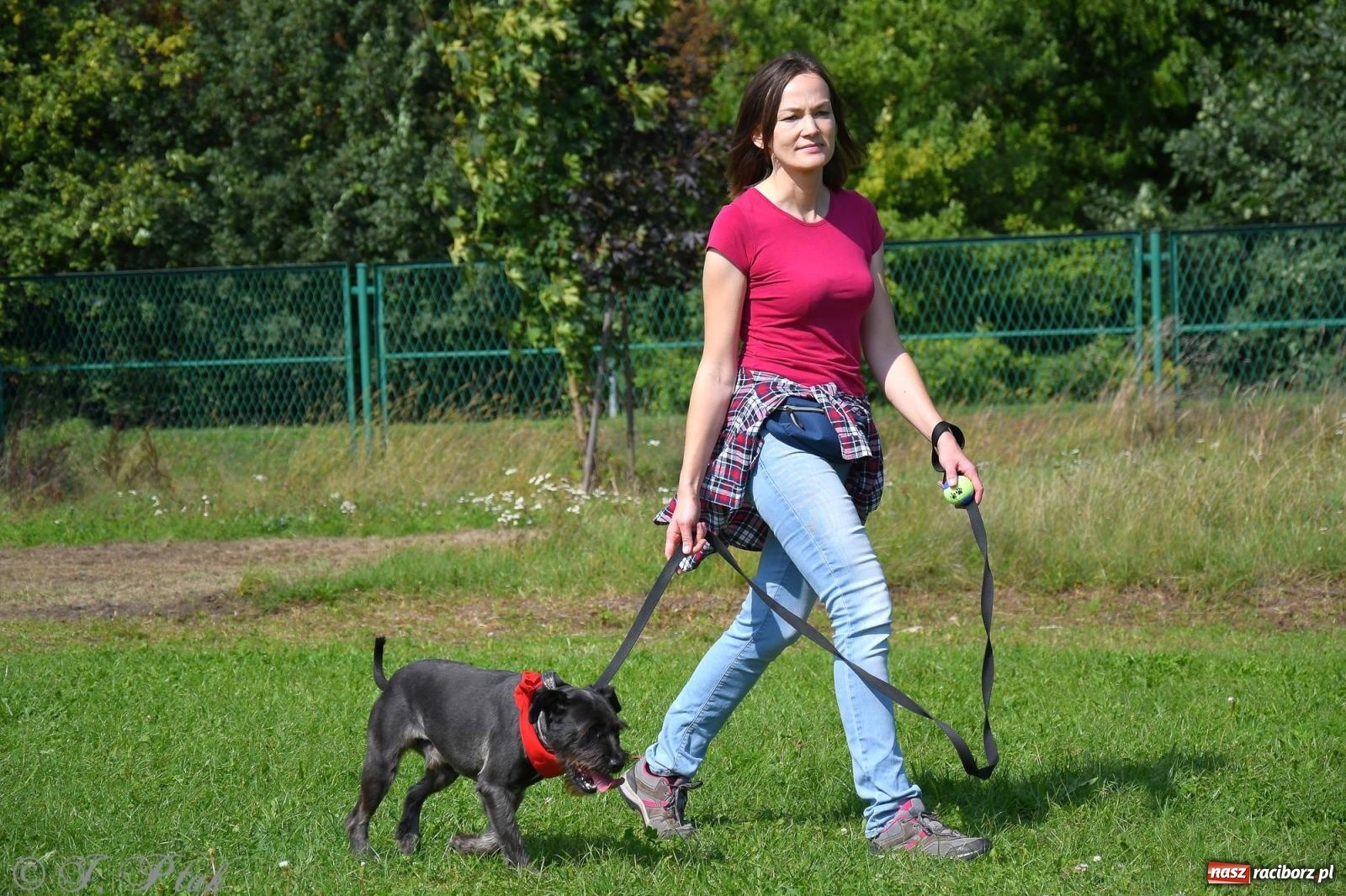 Zdjęcie w galerii na portalu naszraciborz.pl: Dogtrekking - charytatywny marsz z czworonogami [FOTO i WIDEO] wiadomości z regionu