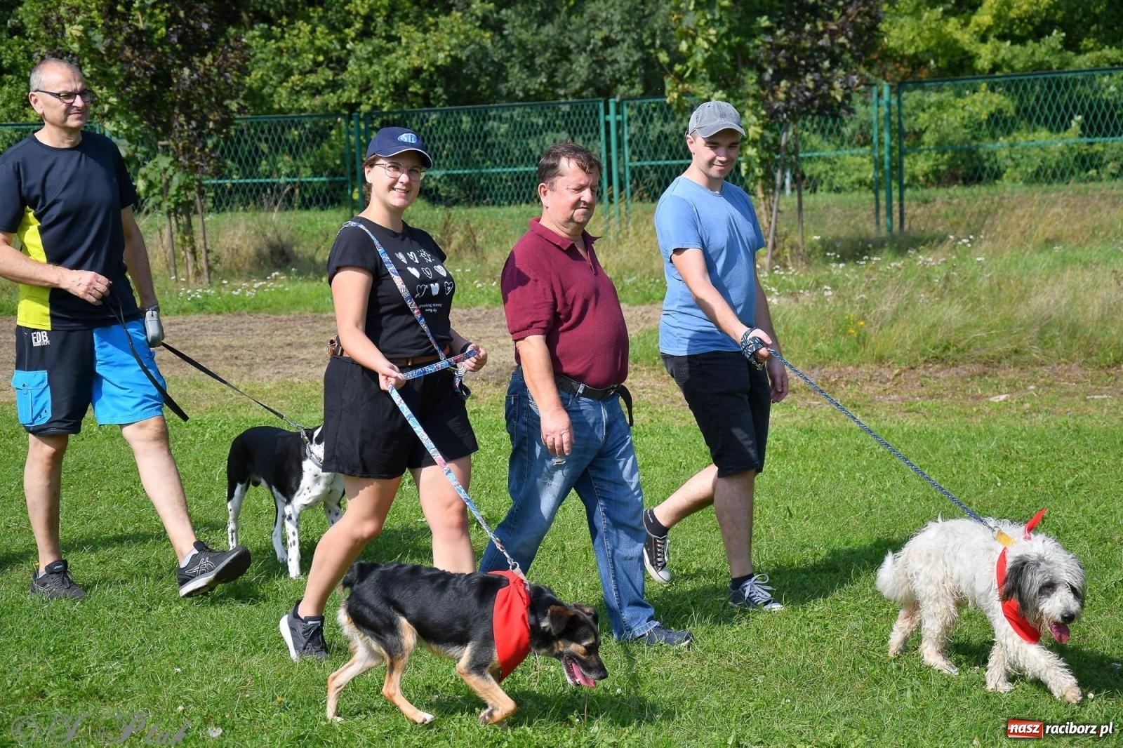 Zdjęcie w galerii na portalu naszraciborz.pl: Dogtrekking - charytatywny marsz z czworonogami [FOTO i WIDEO] wiadomości z regionu