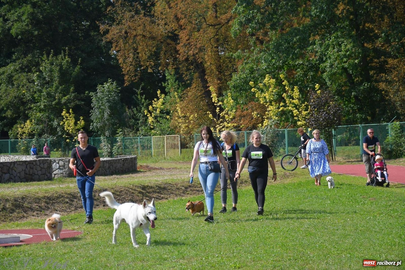 Zdjęcie w galerii na portalu naszraciborz.pl: Dogtrekking - charytatywny marsz z czworonogami [FOTO i WIDEO] wiadomości z regionu