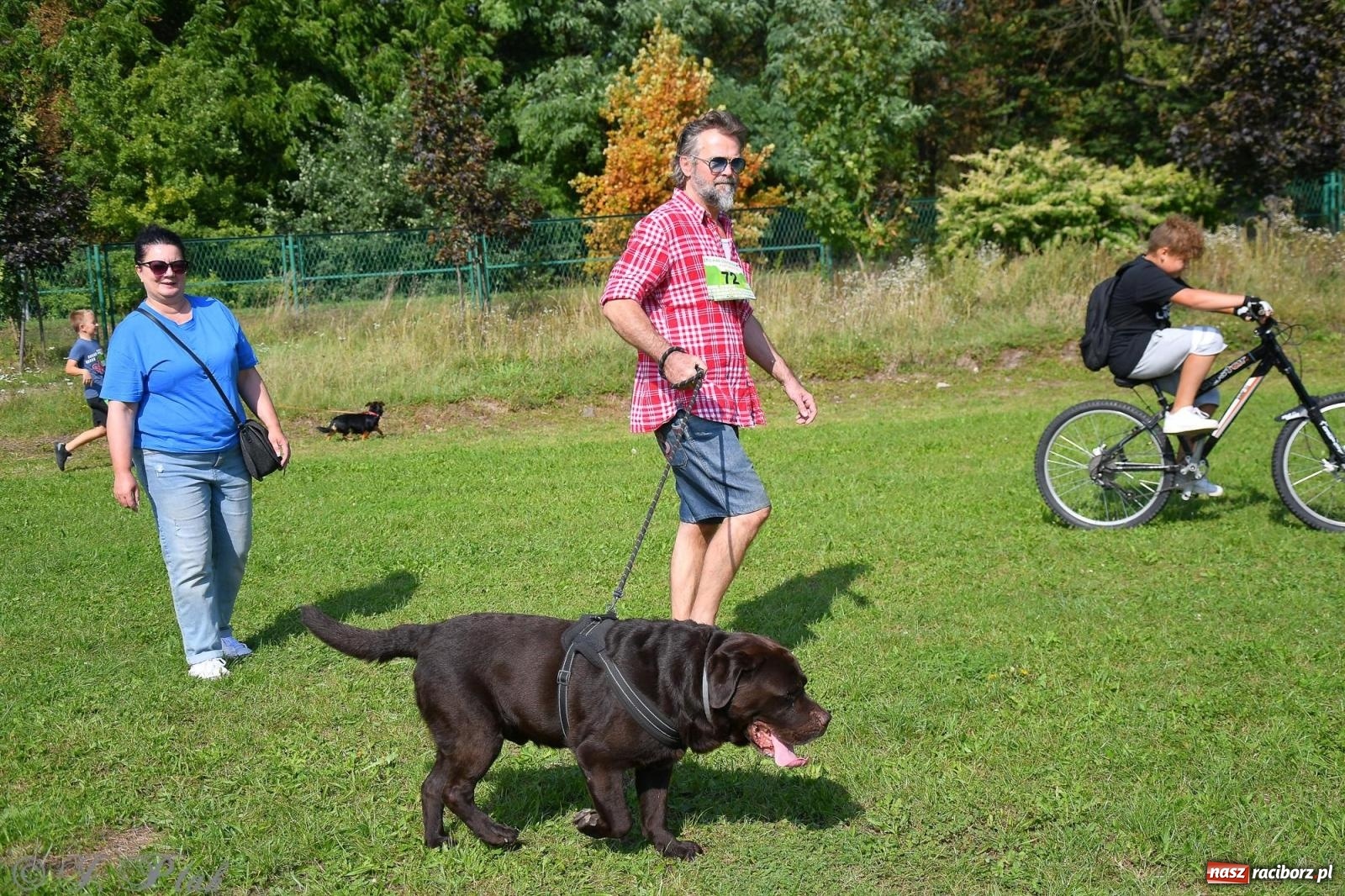 Zdjęcie w galerii na portalu naszraciborz.pl: Dogtrekking - charytatywny marsz z czworonogami [FOTO i WIDEO] wiadomości z regionu