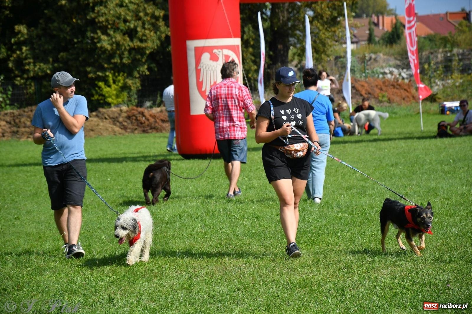 Zdjęcie w galerii na portalu naszraciborz.pl: Dogtrekking - charytatywny marsz z czworonogami [FOTO i WIDEO] wiadomości z regionu