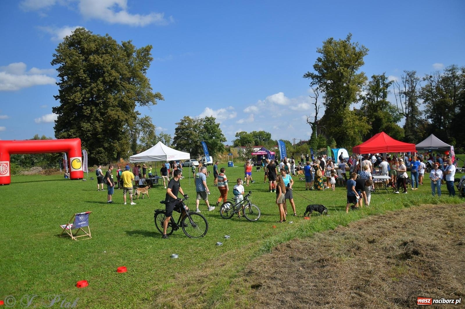 Zdjęcie w galerii na portalu naszraciborz.pl: Dogtrekking - charytatywny marsz z czworonogami [FOTO i WIDEO] wiadomości z regionu