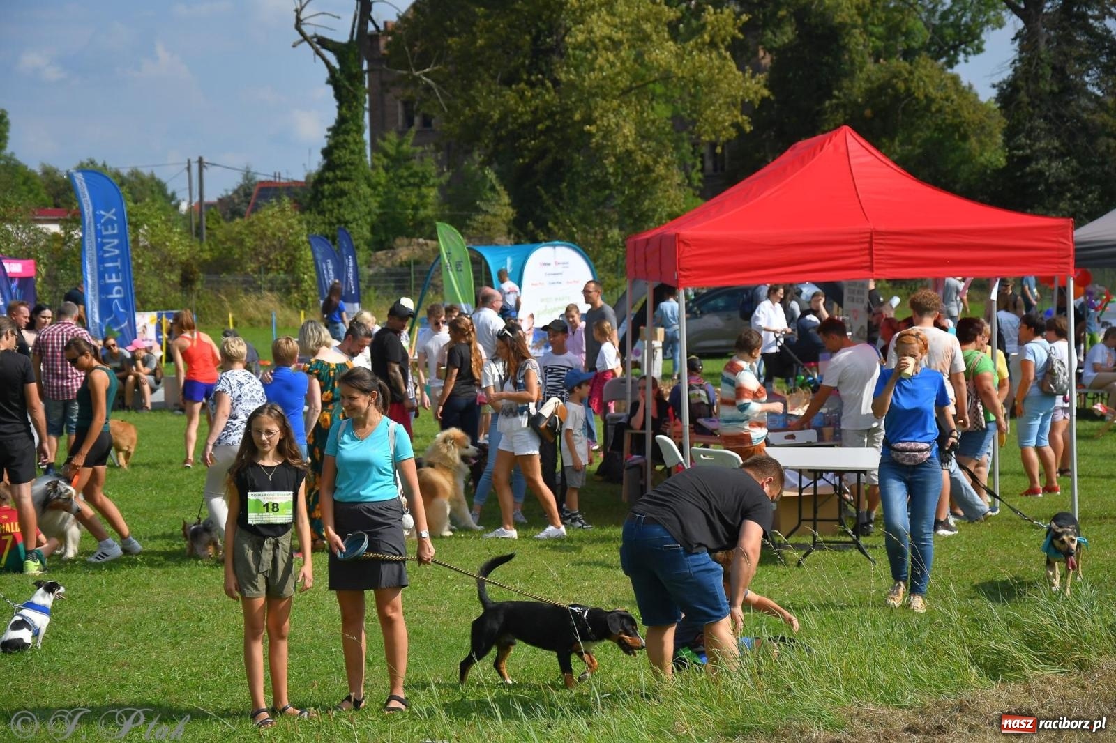 Zdjęcie w galerii na portalu naszraciborz.pl: Dogtrekking - charytatywny marsz z czworonogami [FOTO i WIDEO] wiadomości z regionu