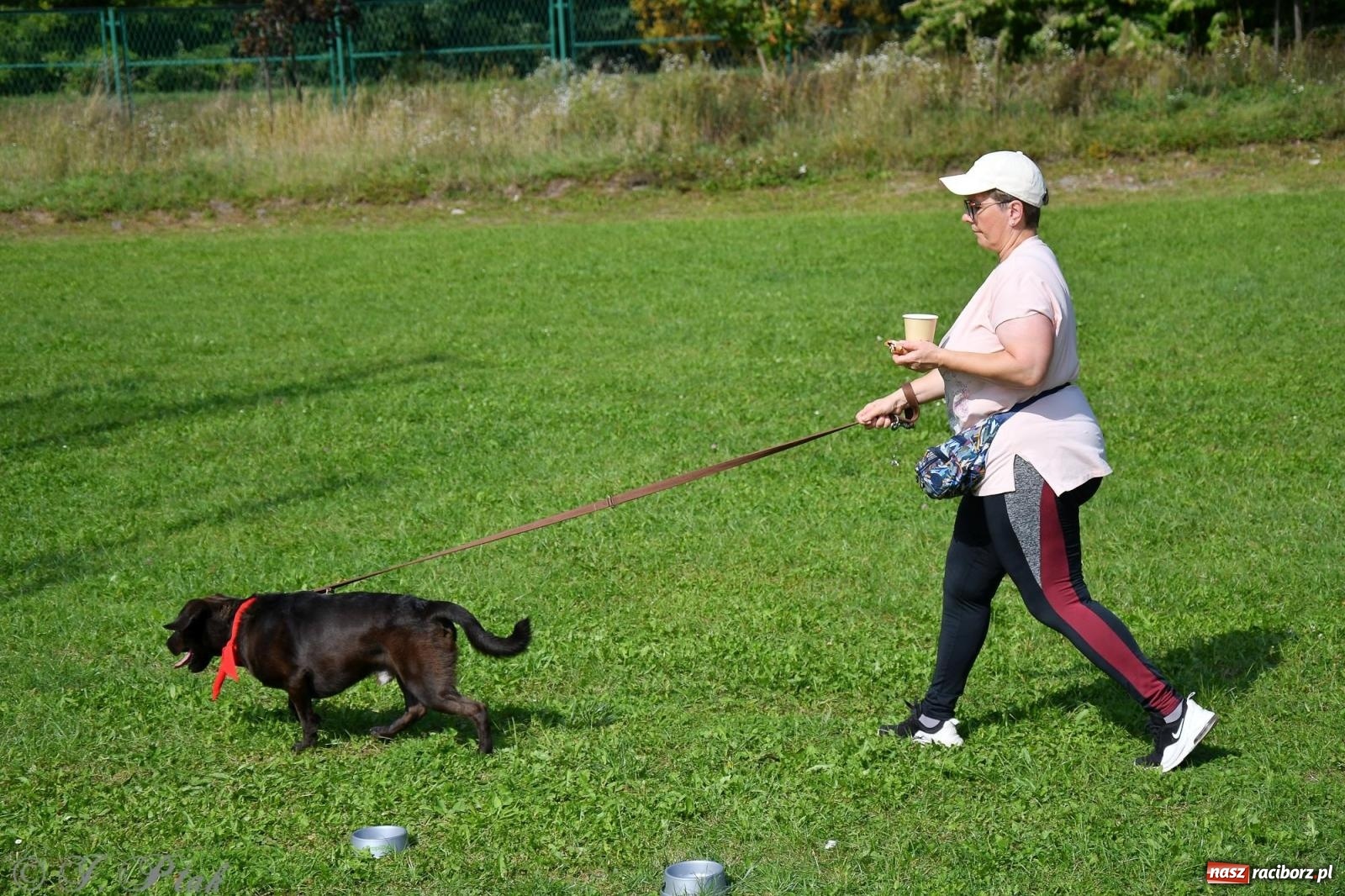 Zdjęcie w galerii na portalu naszraciborz.pl: Dogtrekking - charytatywny marsz z czworonogami [FOTO i WIDEO] wiadomości z regionu