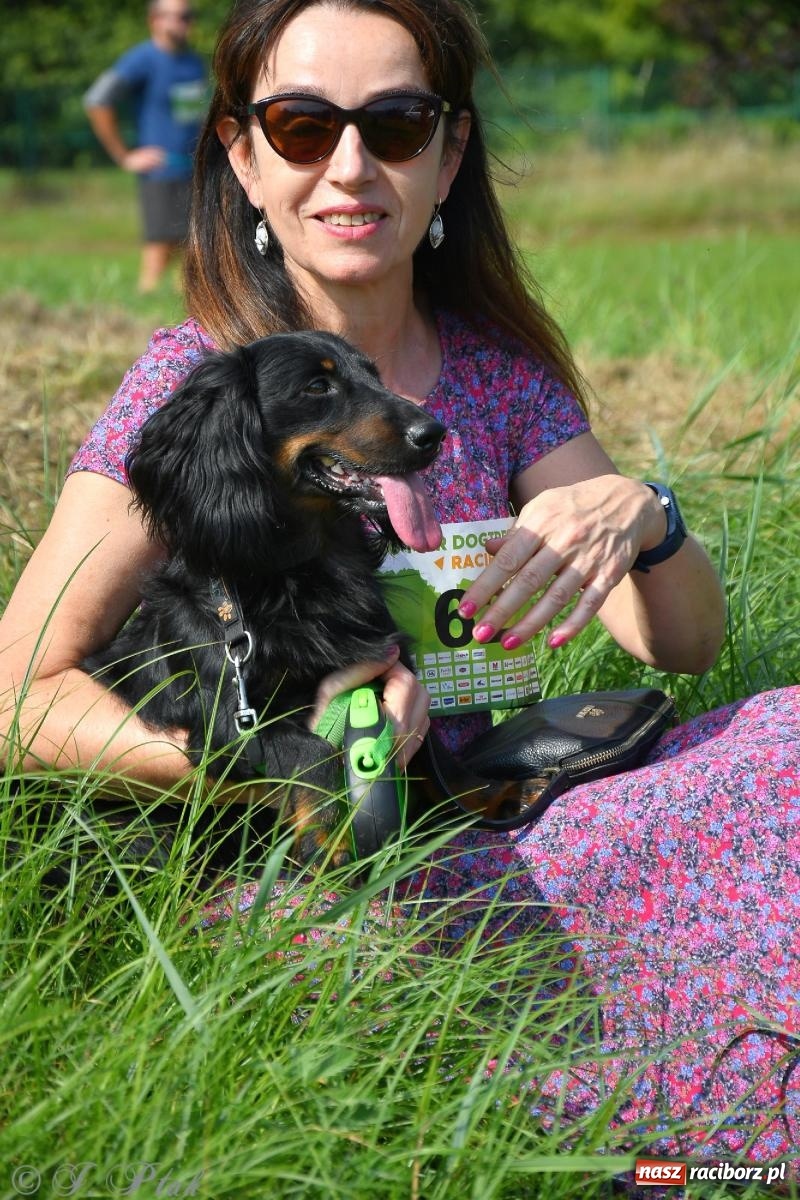 Zdjęcie w galerii na portalu naszraciborz.pl: Dogtrekking - charytatywny marsz z czworonogami [FOTO i WIDEO] wiadomości z regionu