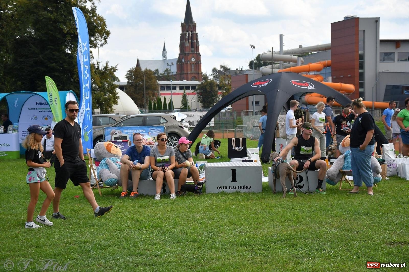 Zdjęcie w galerii na portalu naszraciborz.pl: Dogtrekking - charytatywny marsz z czworonogami [FOTO i WIDEO] wiadomości z regionu