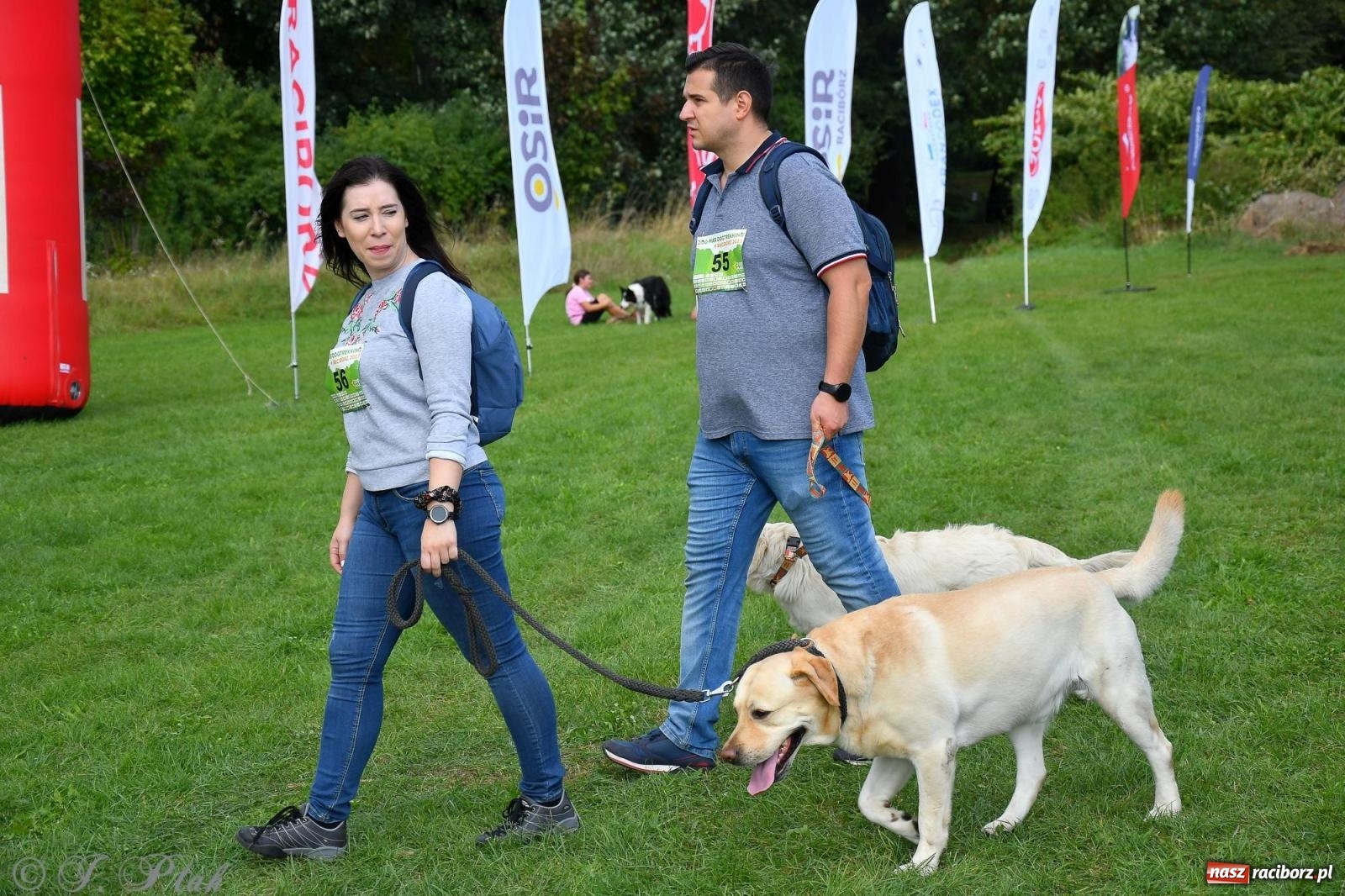 Zdjęcie w galerii na portalu naszraciborz.pl: Dogtrekking - charytatywny marsz z czworonogami [FOTO i WIDEO] wiadomości z regionu