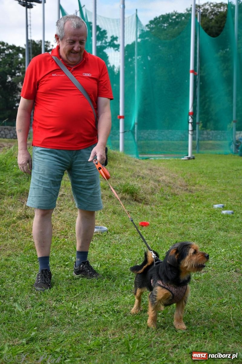 Zdjęcie w galerii na portalu naszraciborz.pl: Dogtrekking - charytatywny marsz z czworonogami [FOTO i WIDEO] wiadomości z regionu