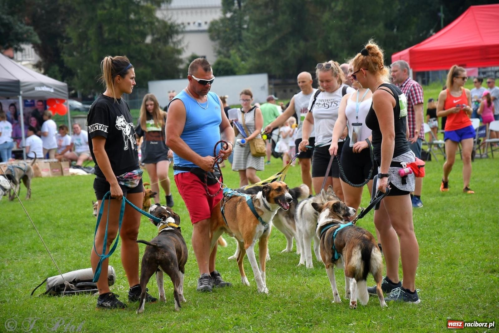 Zdjęcie w galerii na portalu naszraciborz.pl: Dogtrekking - charytatywny marsz z czworonogami [FOTO i WIDEO] wiadomości z regionu