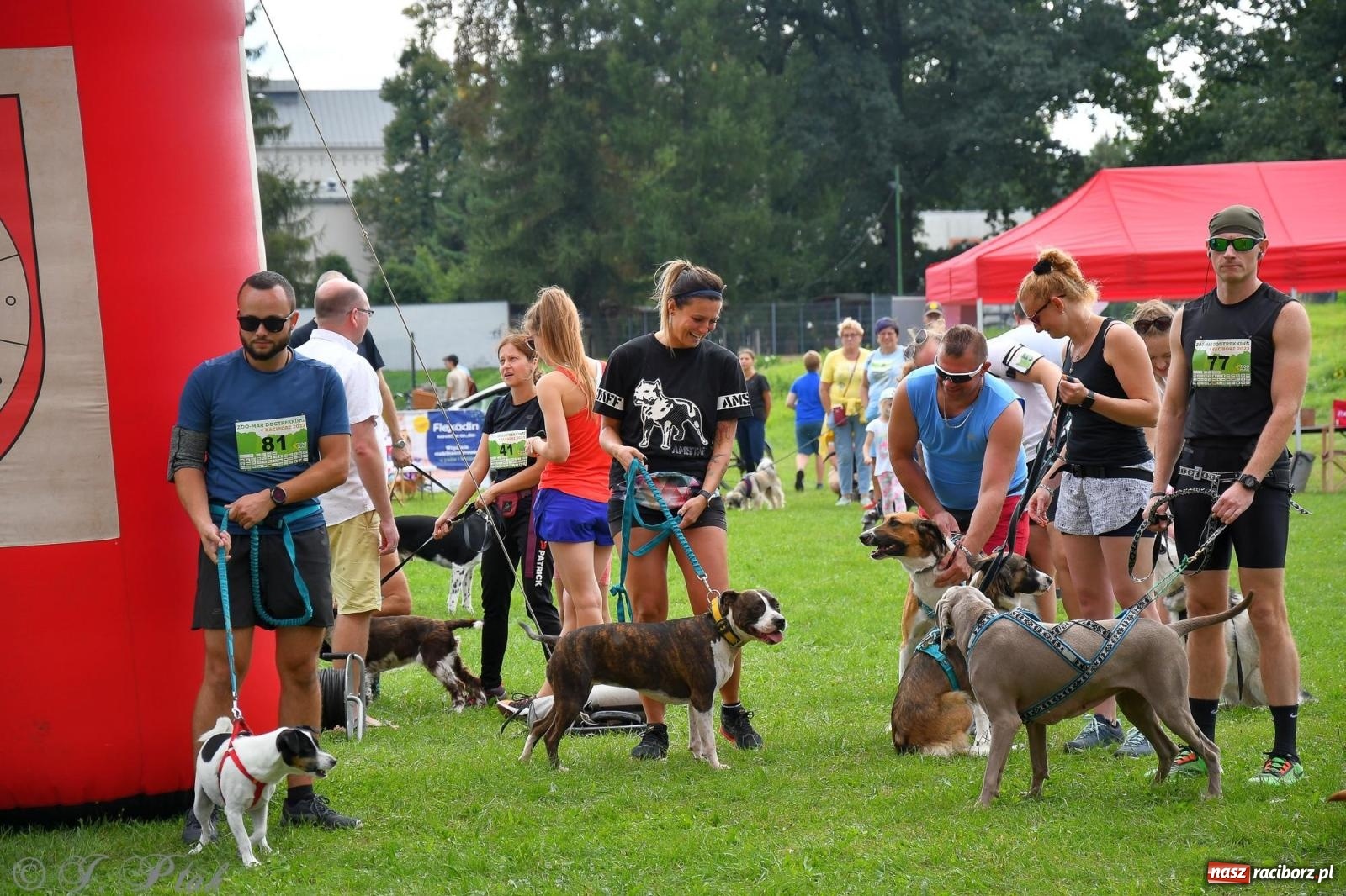 Zdjęcie w galerii na portalu naszraciborz.pl: Dogtrekking - charytatywny marsz z czworonogami [FOTO i WIDEO] wiadomości z regionu