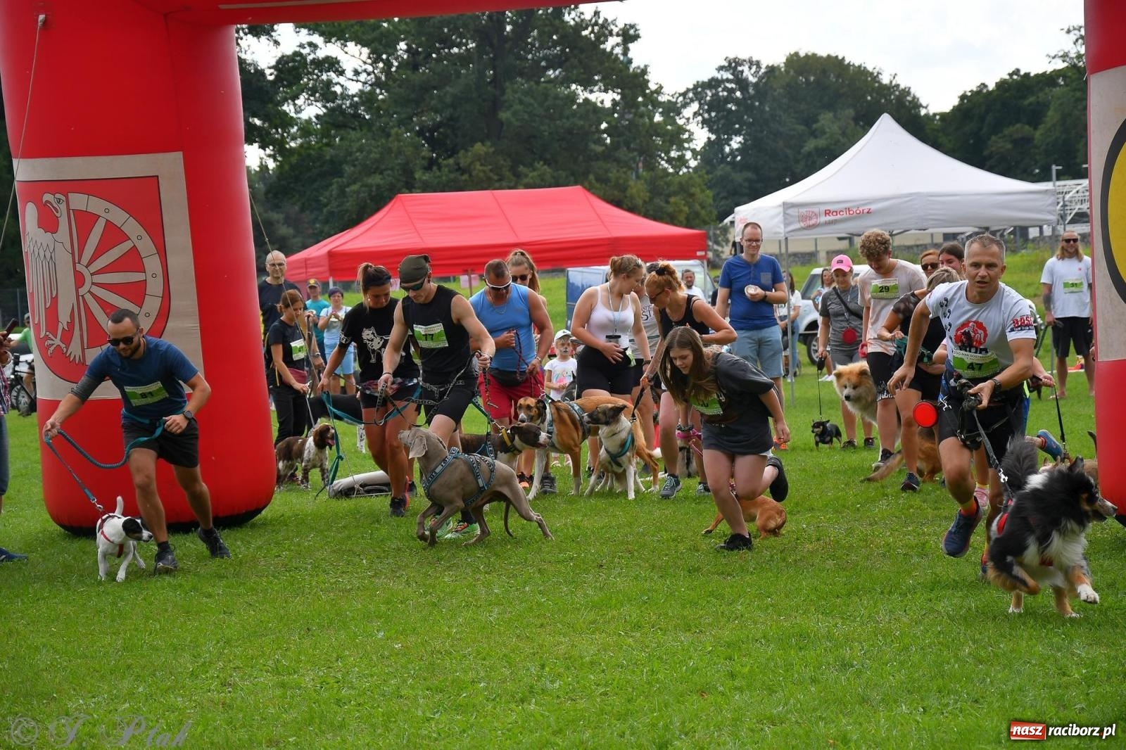 Zdjęcie w galerii na portalu naszraciborz.pl: Dogtrekking - charytatywny marsz z czworonogami [FOTO i WIDEO] wiadomości z regionu