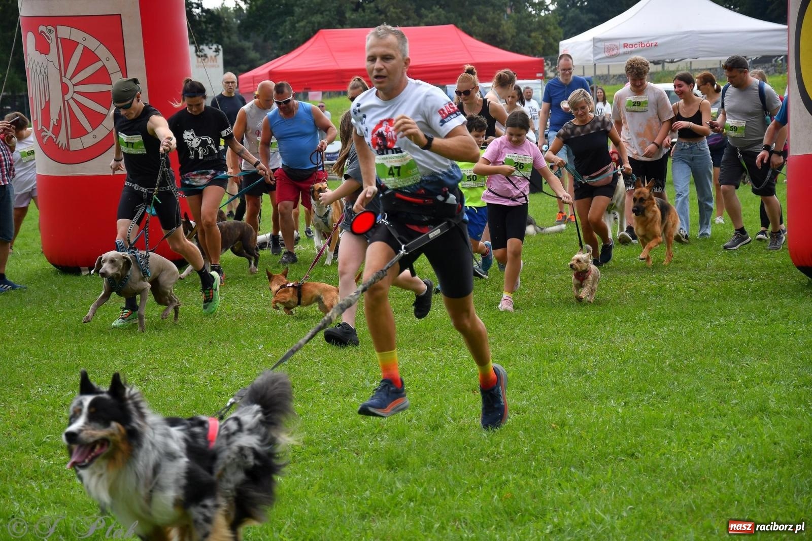 Zdjęcie w galerii na portalu naszraciborz.pl: Dogtrekking - charytatywny marsz z czworonogami [FOTO i WIDEO] wiadomości z regionu