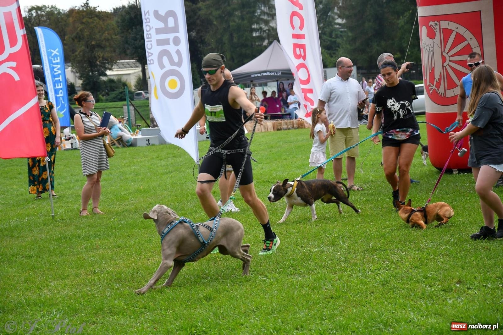 Zdjęcie w galerii na portalu naszraciborz.pl: Dogtrekking - charytatywny marsz z czworonogami [FOTO i WIDEO] wiadomości z regionu