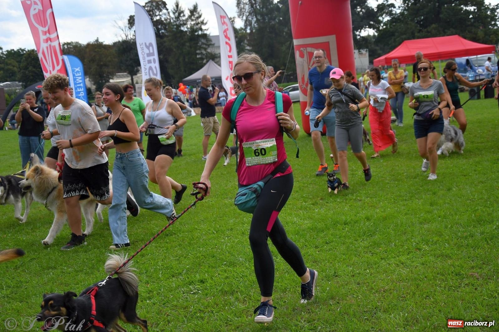 Zdjęcie w galerii na portalu naszraciborz.pl: Dogtrekking - charytatywny marsz z czworonogami [FOTO i WIDEO] wiadomości z regionu