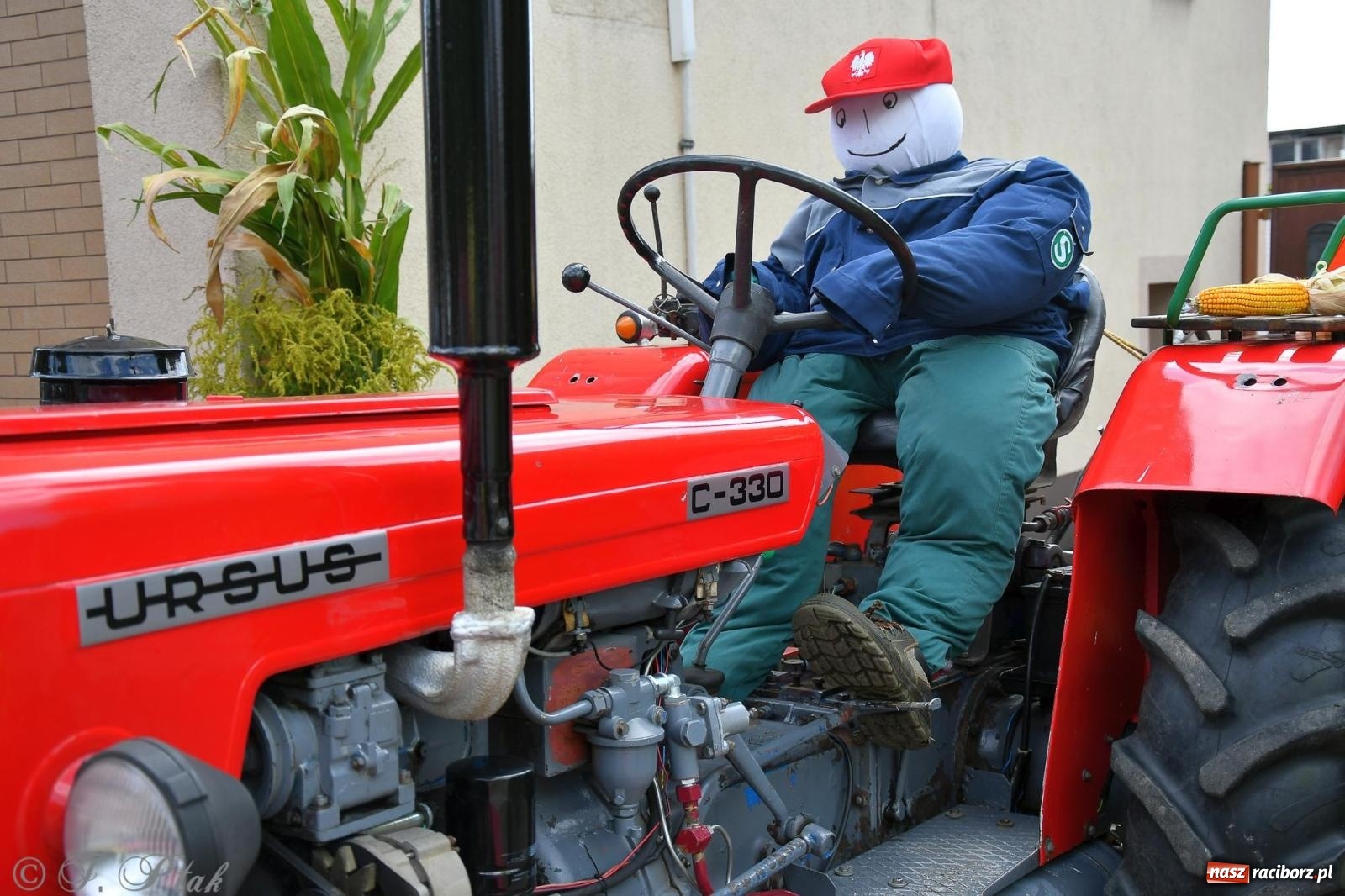 Zdjęcie w galerii na portalu naszraciborz.pl: Racibórz. Markowice dożynki na bis [FOTO] wiadomości z regionu