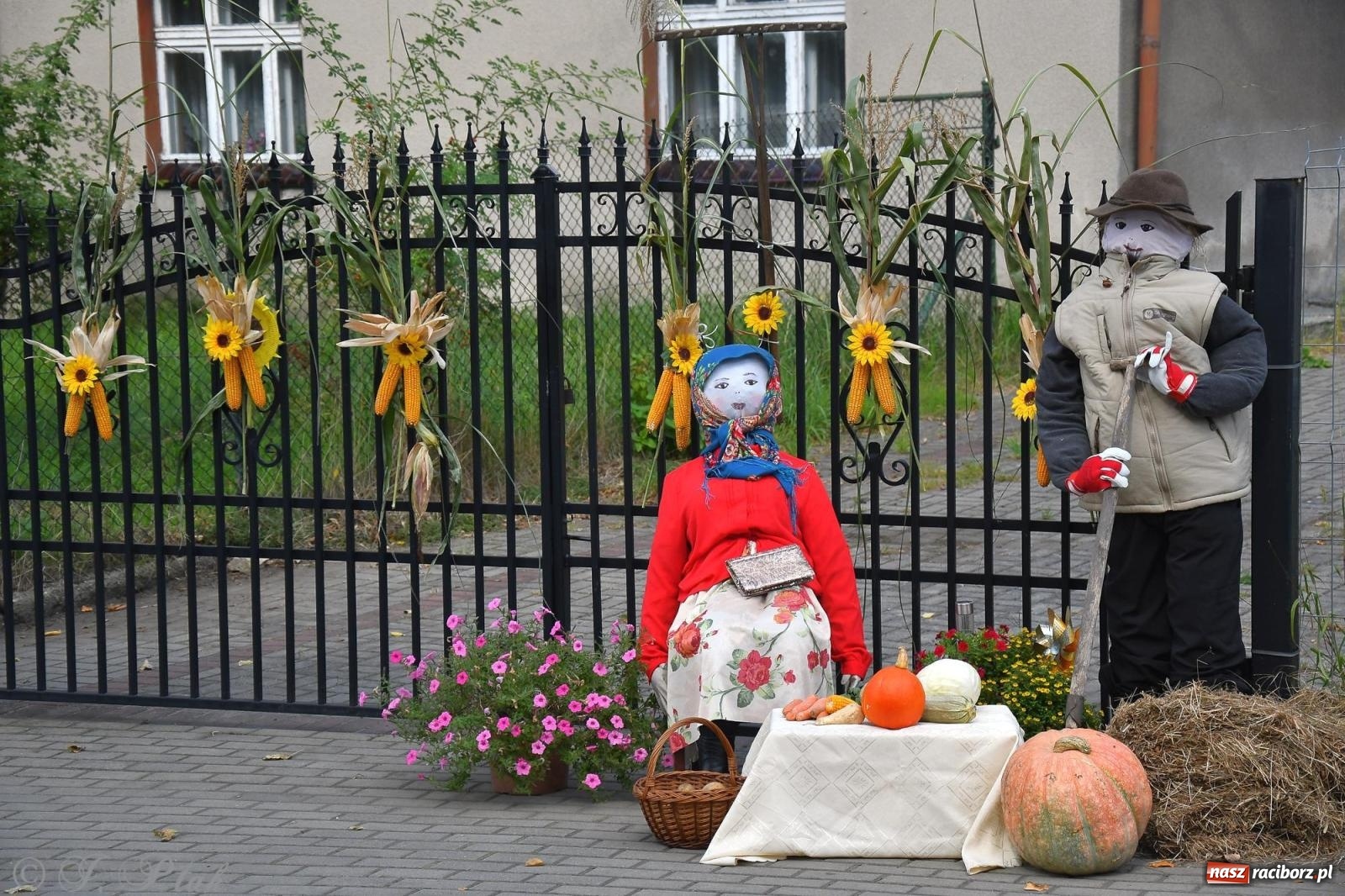 Zdjęcie w galerii na portalu naszraciborz.pl: Racibórz. Markowice dożynki na bis [FOTO] wiadomości z regionu