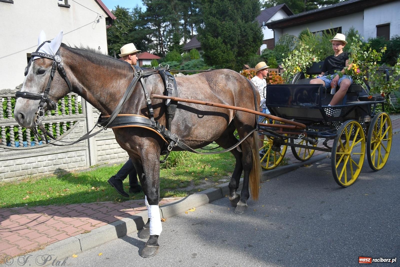 Zdjęcie w galerii na portalu naszraciborz.pl: Racibórz. Markowice dożynki na bis [FOTO] wiadomości z regionu